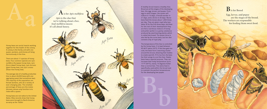 H is for Honey Bee