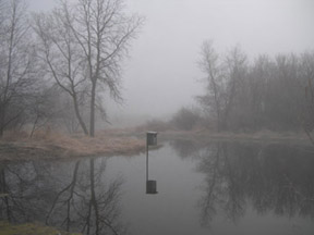 April Fog