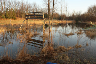 Flooded Pond