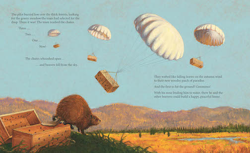 The Skydiving Beavers