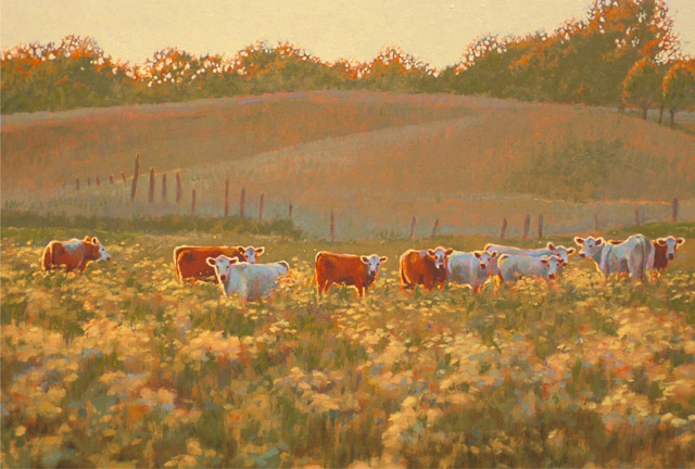 Cows and Wildflowers