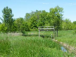 Creek Bench