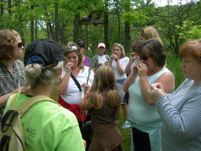 Using Our Sense of Smell