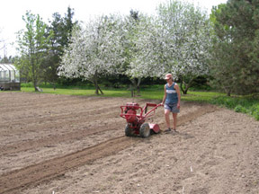 Garden Beginnings