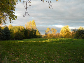 Hazel Ridge Farm