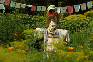 Scarecrow