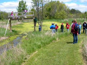 Spotting Wetland Critters