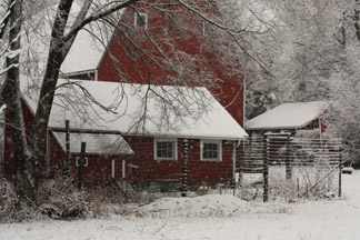 The Barns