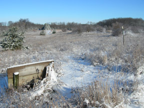  Winter Lookout